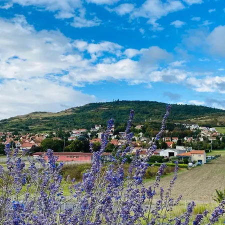 Western Gergovie Отель